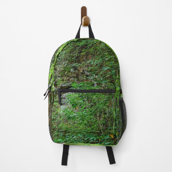 Item preview, Cloudland Canyon State Park designed and sold by GestaltImagery.