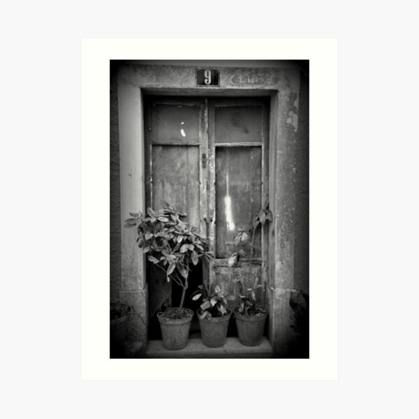 Vintage door Art Print