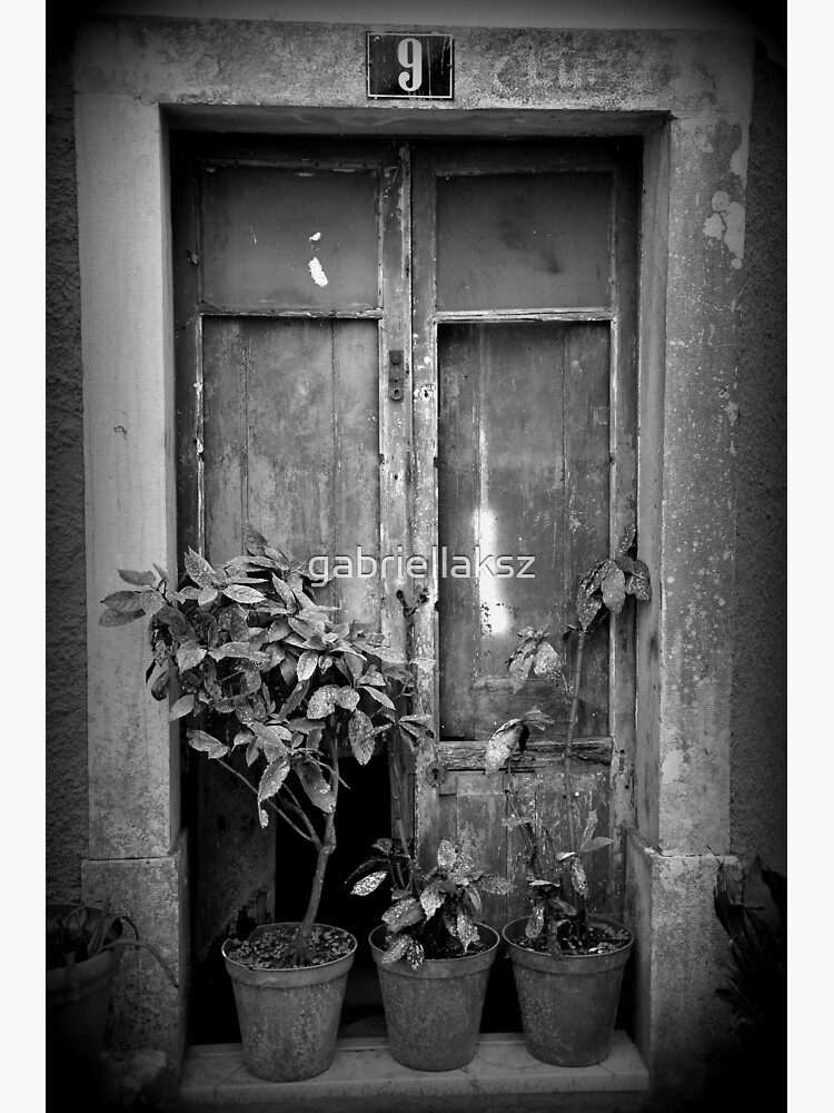 Vintage door by gabriellaksz