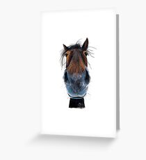 HORSE PRiNT 'HAPPY HARRY' BY SHiRLeY MacARTHuR Greeting Card