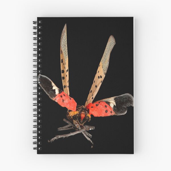 Item preview, Spotted Lanternfly designed and sold by El5awaga.