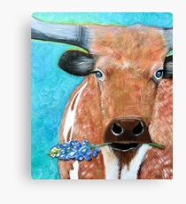Longhorn with Bluebonnet Canvas Print