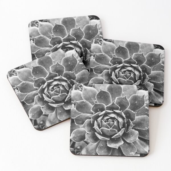 Item preview, Sempervivum tectorum designed and sold by Dominika Aniola.