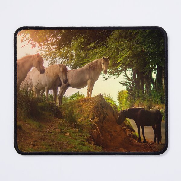 Item preview, Wild Horses Of Dartmoor designed and sold by Nigel Finn.