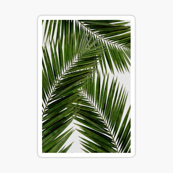 Vista previa del artículo con la obra «Palm Leaf Green II», diseñado y vendido por Orara Studio.