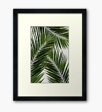 Palm Leaf Green II Framed Print