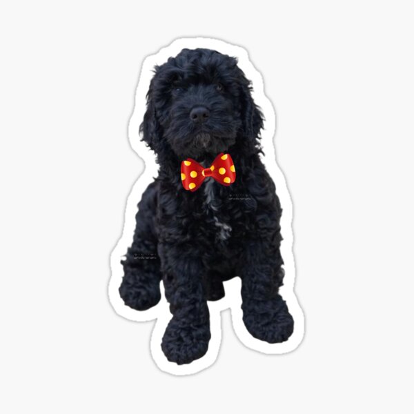 Black goldendoodle shop stuffed animal