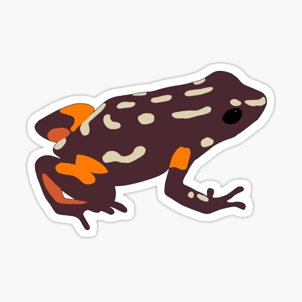 "Brazil Nut Poison Dart Frog " Sticker for Sale by zoocuties Redbubble