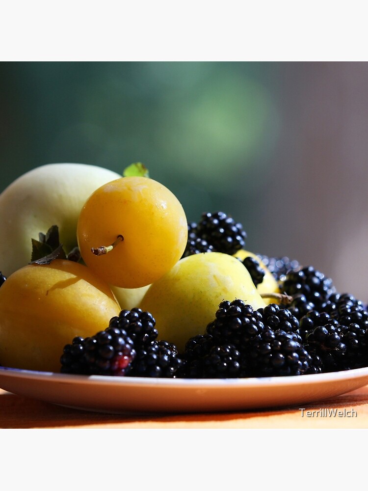 August Still Life by TerrillWelch