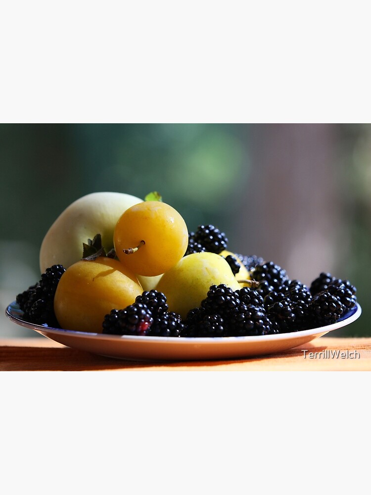 August Still Life by TerrillWelch