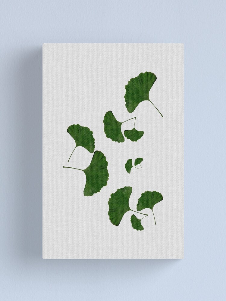 Alternate view of Ginkgo Leaf I Canvas Print