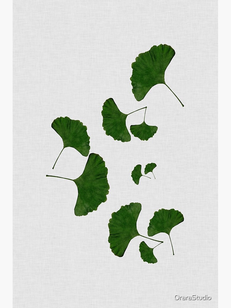 Ginkgo Leaf I by OraraStudio