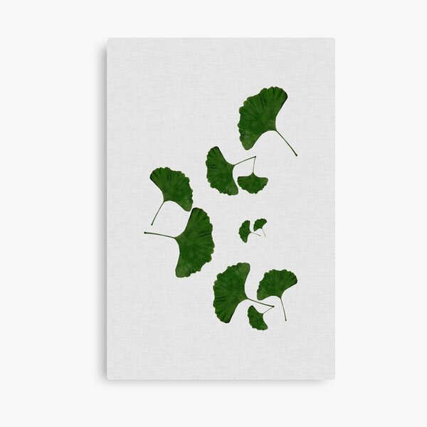 Ginkgo Leaf I Canvas Print
