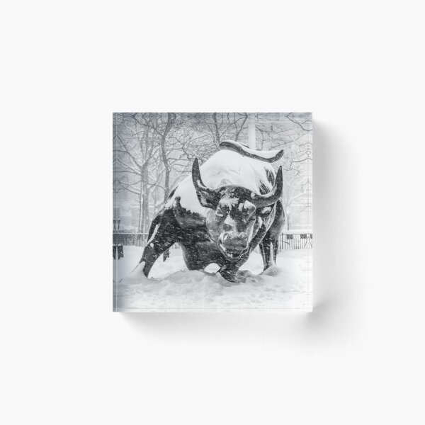 Item preview, The Wall Street Bull, NYC (in the snow) designed and sold by ShootFirstNYC.