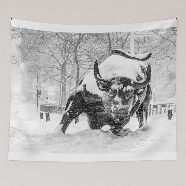 Item preview, The Wall Street Bull, NYC (in the snow) designed and sold by ShootFirstNYC.