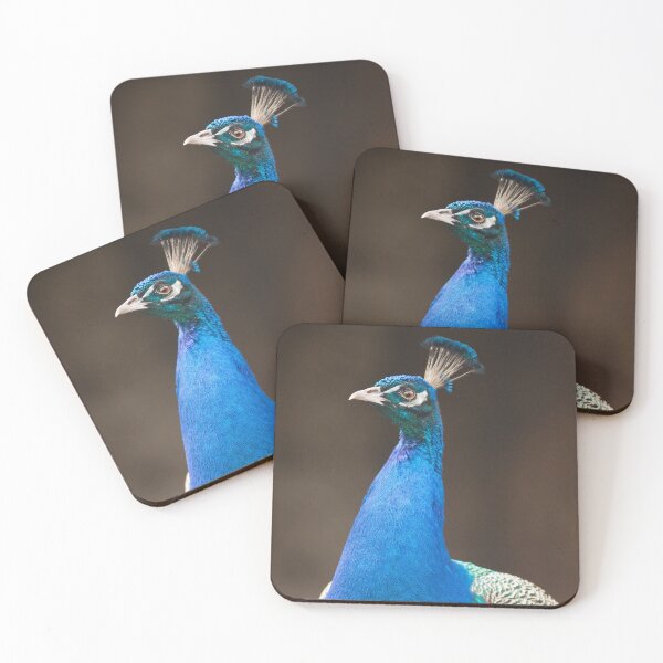 Item preview, Male Indian Peafowl designed and sold by Dominika Aniola.