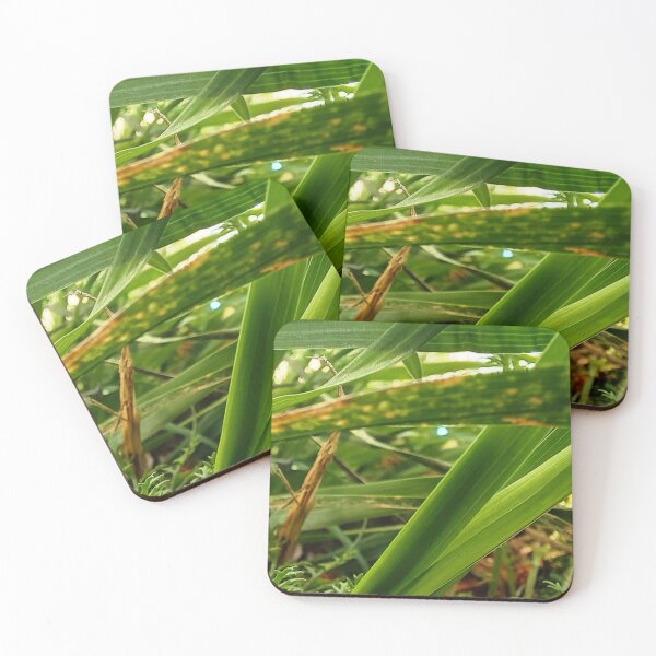 Item preview, And now a little ant perspective. (: designed and sold by AbaTiro.