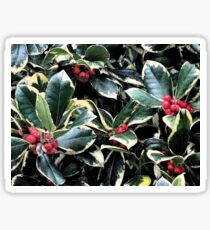 Holly Berries and Leaves Sticker