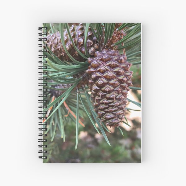 Pinecone Fresh Spiral Notebook