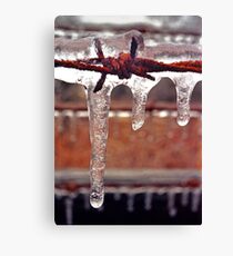 barbed ice Canvas Print