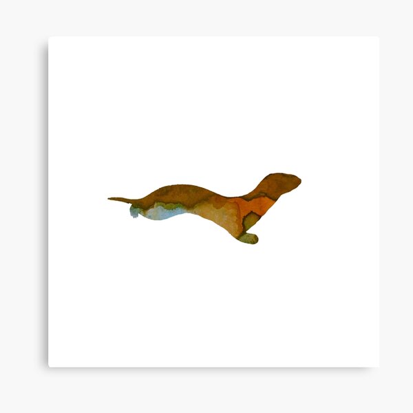 Ferret Art Canvas Print
