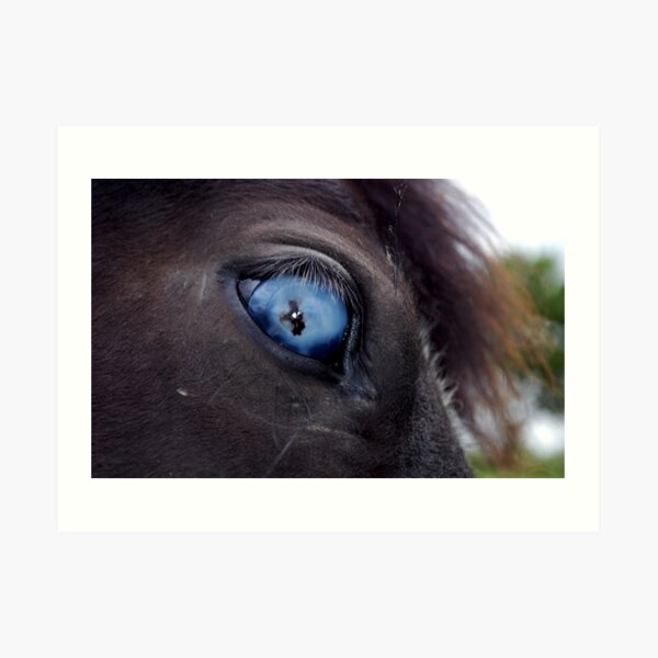 Blind Eye Art Print