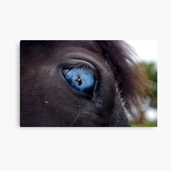 Blind Eye Canvas Print