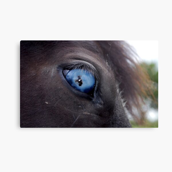 Blind Eye Metal Print