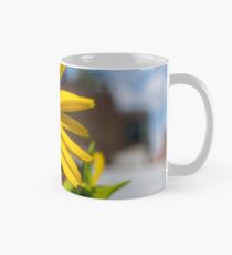 Taza Flor amarilla en Nueva York
