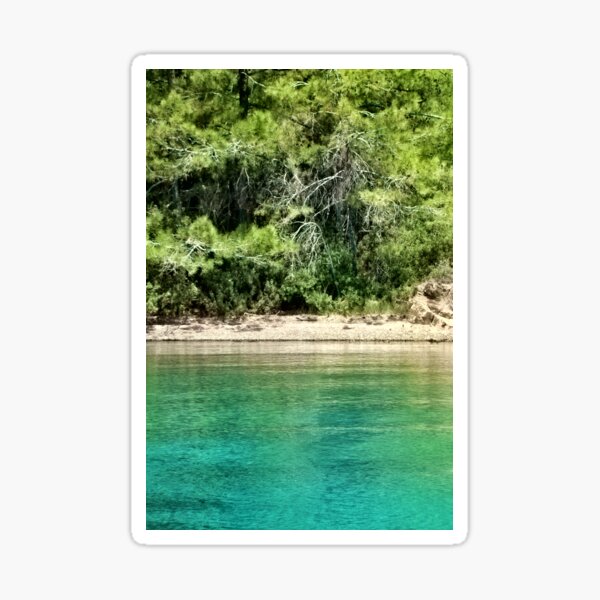 Water Sticker
