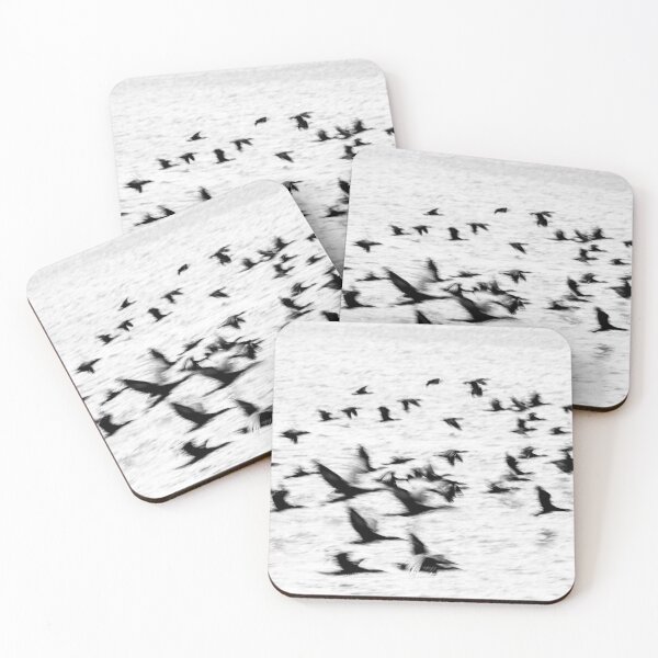 Item preview, Birds in motion - flight. designed and sold by Brian Scantlebury.