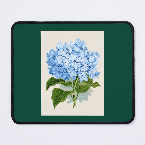 Item preview, Hydrangea Botanical Illustration   designed and sold by WanMarsh.