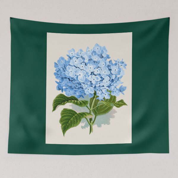 Item preview, Hydrangea Botanical Illustration   designed and sold by WanMarsh.