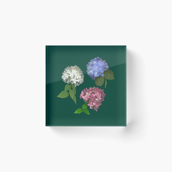 Item preview, Hydrangea Trio Fitted Scoop  designed and sold by WanMarsh.