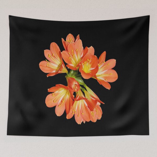 Item preview, Orange Lily of the Incas Flower, flowers flowers designed and sold by CORYNKOSER.