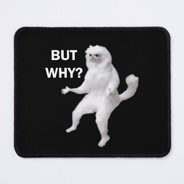 Item preview, White cat meme "But why?" designed and sold by Alicia-Lee.