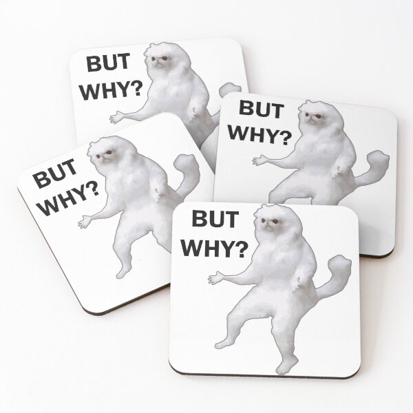 Item preview, White cat meme "But why?" designed and sold by Alicia-Lee.
