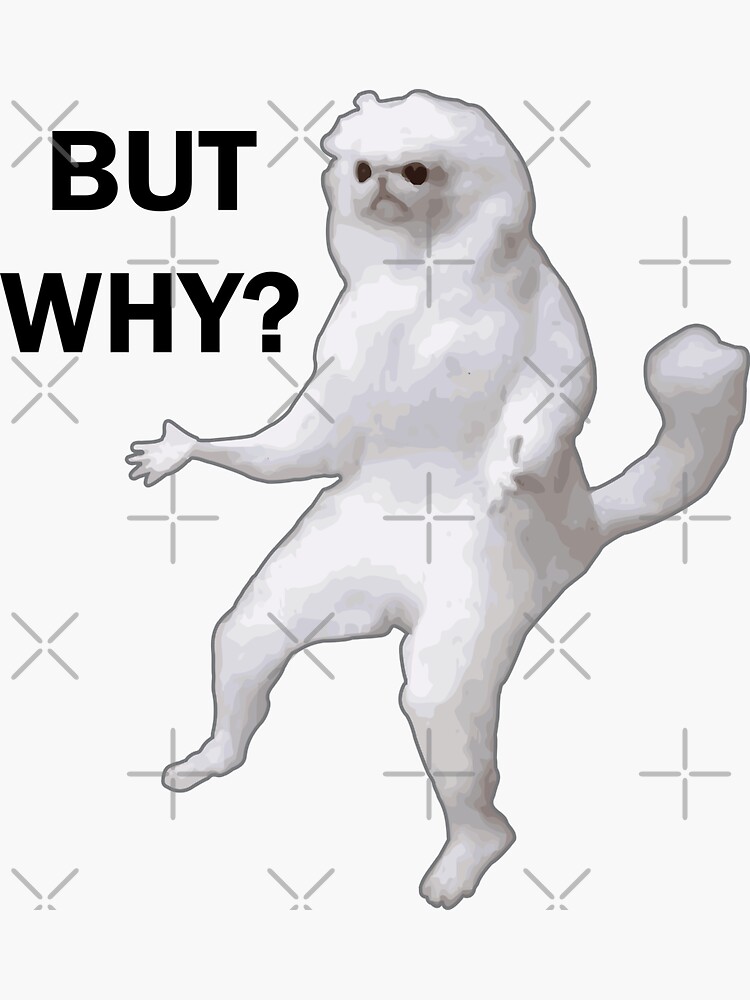 quot White cat meme quot But why? quot quot Sticker for Sale by Alicia Lee Redbubble