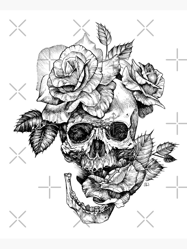 "Skull And Roses" Photographic Print by saraknid Redbubble
