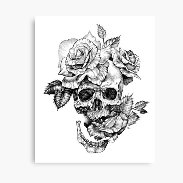 Skull And Roses Canvas Print