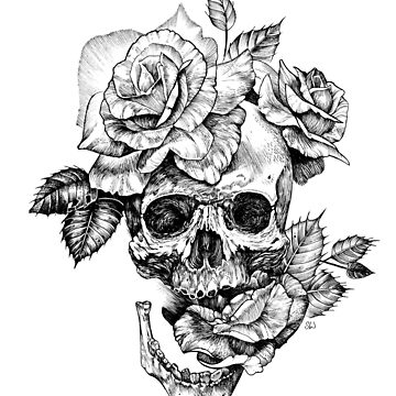 Artwork thumbnail, Skull And Roses by saraknid