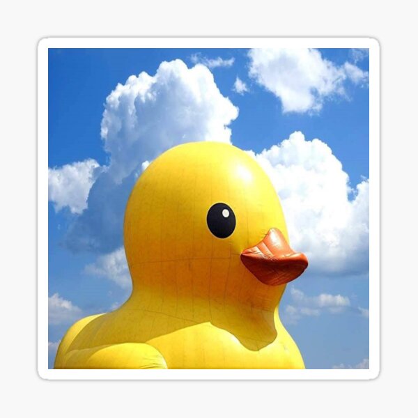 Duck Lips And Flotation Devices Smartfem Magazine
