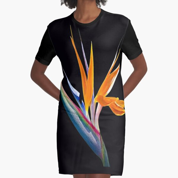 Vestido camiseta «Ave del paraíso de plantas tropicales o strelitzia  reginae aislado en vector de fondo azul oscuro borroso» de Rachidsolution |  Redbubble