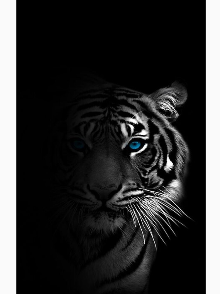 Black & White Tiger V-Neck T-Shirt