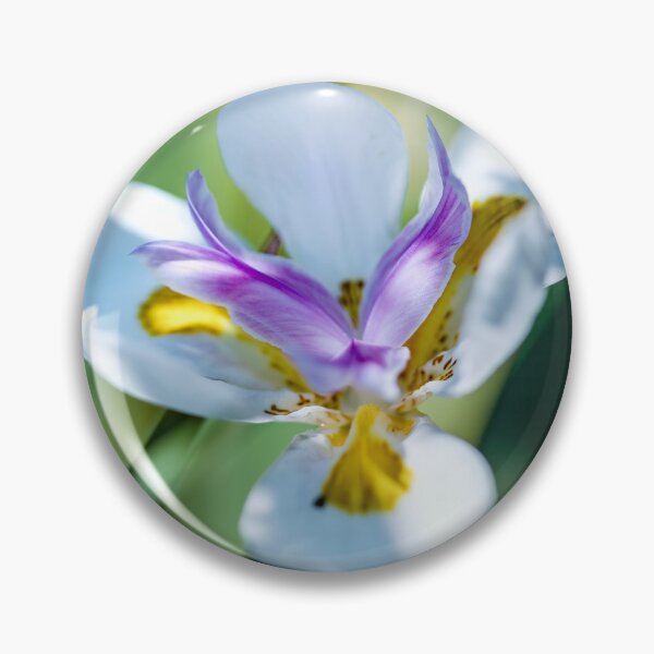 Item preview, Pretty little flower with white, purple and yellow petals designed and sold by CyaniRose.