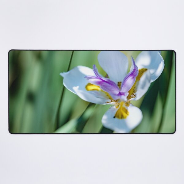 Item preview, Pretty little flower with white, purple and yellow petals designed and sold by CyaniRose.