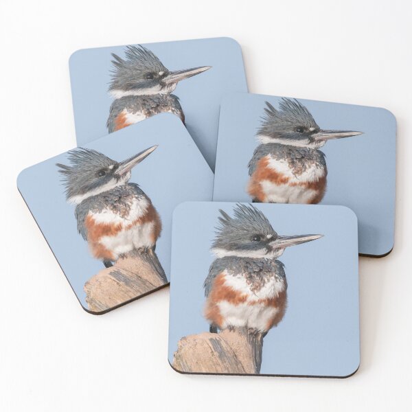 Item preview, Female Belted Kingfisher designed and sold by (Tallow) Dave  Van de Laar.