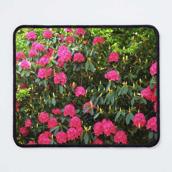 Item preview, Hydrangeaceae designed and sold by PicsByTony.