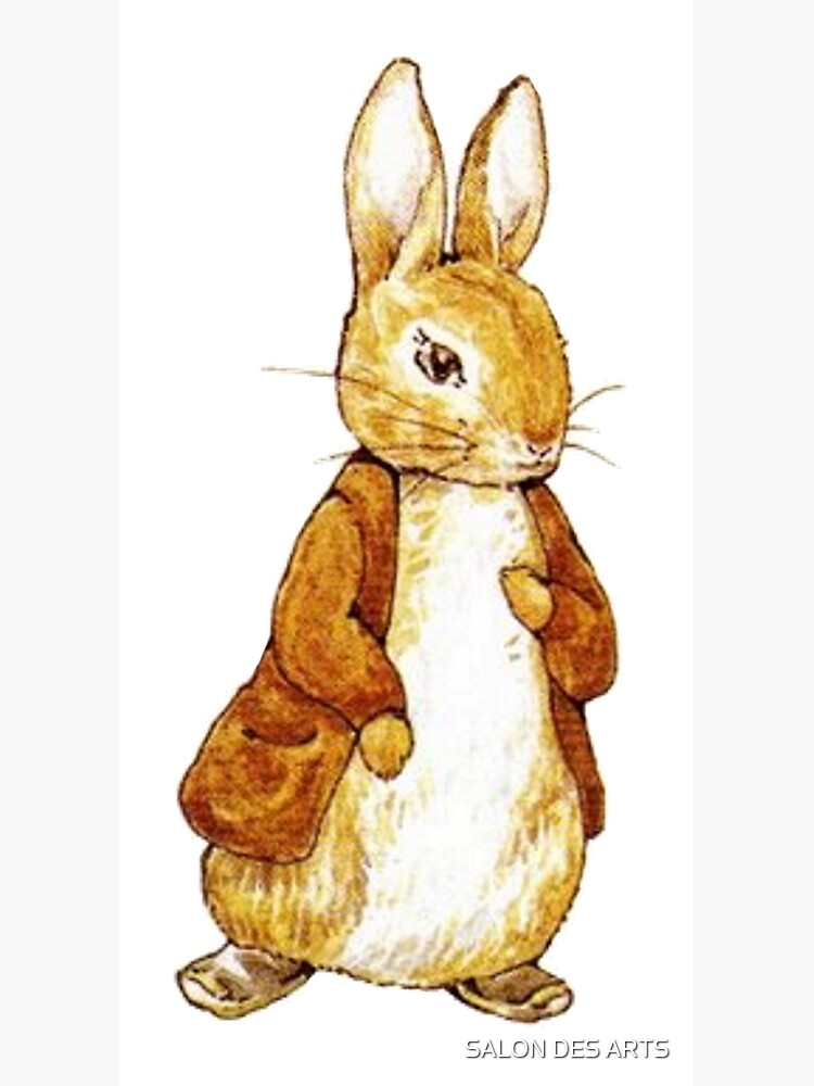 Amazon.com: Beatrix Potter Mr. Bunny, Benjamin and Peter