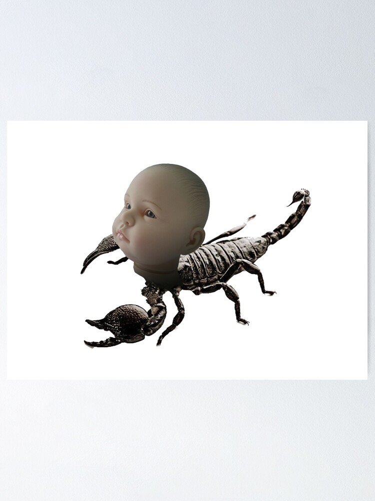 Poster Scorpion Bebe Par Sochijelly Redbubble